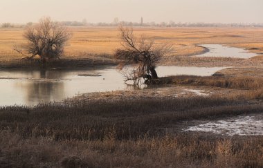 Soğuk bir günde kışın bozkır ve terk edilmiş avlular.
