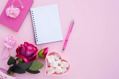 Düz lay girly, planlama için soluk pembe öğeler, not defterleri, kalemler, ofis çalışmaları ya da evde onun dizüstü bilgisayar üzerinde çalışan, soluk pembe arka plan, etiketler için yer ile. Konsept Masası.