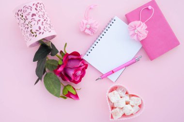 Düz lay girly, planlama için soluk pembe öğeler, not defterleri, kalemler, ofis çalışmaları ya da evde onun dizüstü bilgisayar üzerinde çalışan, soluk pembe arka plan, etiketler için yer ile. Konsept Masası.