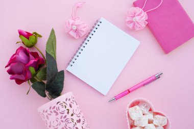 Düz lay girly, planlama için soluk pembe öğeler, not defterleri, kalemler, ofis çalışmaları ya da evde onun dizüstü bilgisayar üzerinde çalışan, soluk pembe arka plan, etiketler için yer ile. Konsept Masası.