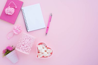 Düz lay girly, planlama için soluk pembe öğeler, not defterleri, kalemler, ofis çalışmaları ya da evde onun dizüstü bilgisayar üzerinde çalışan, soluk pembe arka plan, etiketler için yer ile. Konsept Masası.