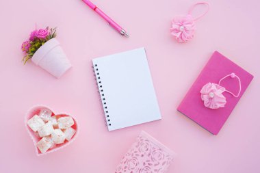 Düz lay girly, planlama için soluk pembe öğeler, not defterleri, kalemler, ofis çalışmaları ya da evde onun dizüstü bilgisayar üzerinde çalışan, soluk pembe arka plan, etiketler için yer ile. Konsept Masası.