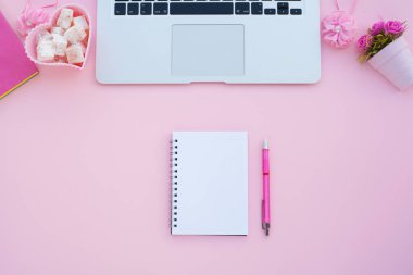 Düz lay girly, planlama için soluk pembe öğeler, not defterleri, kalemler, ofis çalışmaları ya da evde onun dizüstü bilgisayar üzerinde çalışan, soluk mavi arka plan, etiketler için yer ile. Konsept Masası.