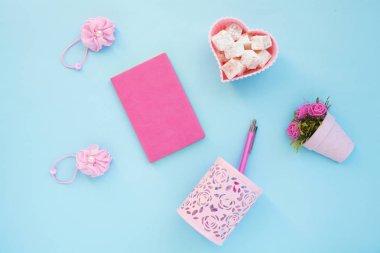 Düz lay girly, planlama için soluk pembe öğeler, not defterleri, kalemler, ofis çalışmaları ya da evde onun dizüstü bilgisayar üzerinde çalışan, soluk mavi arka plan, etiketler için yer ile. Konsept Masası.