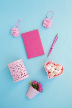 Düz lay girly, planlama için soluk pembe öğeler, not defterleri, kalemler, ofis çalışmaları ya da evde onun dizüstü bilgisayar üzerinde çalışan, soluk mavi arka plan, etiketler için yer ile. Konsept Masası.