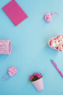 Düz lay girly, planlama için soluk pembe öğeler, not defterleri, kalemler, ofis çalışmaları ya da evde onun dizüstü bilgisayar üzerinde çalışan, soluk mavi arka plan, etiketler için yer ile. Konsept Masası.