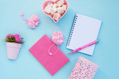 Düz lay girly, planlama için soluk pembe öğeler, not defterleri, kalemler, ofis çalışmaları ya da evde onun dizüstü bilgisayar üzerinde çalışan, soluk mavi arka plan, etiketler için yer ile. Konsept Masası.