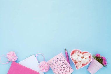 Düz lay girly, planlama için soluk pembe öğeler, not defterleri, kalemler, ofis çalışmaları ya da evde onun dizüstü bilgisayar üzerinde çalışan, soluk mavi arka plan, etiketler için yer ile. Konsept Masası.