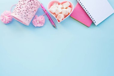 Düz lay girly, planlama için soluk pembe öğeler, not defterleri, kalemler, ofis çalışmaları ya da evde onun dizüstü bilgisayar üzerinde çalışan, soluk mavi arka plan, etiketler için yer ile. Konsept Masası.