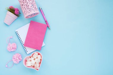 Düz lay girly, planlama için soluk pembe öğeler, not defterleri, kalemler, ofis çalışmaları ya da evde onun dizüstü bilgisayar üzerinde çalışan, soluk mavi arka plan, etiketler için yer ile. Konsept Masası.