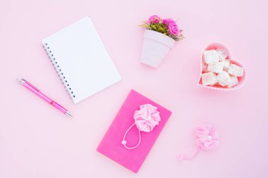 Düz lay girly, planlama için soluk pembe öğeler, not defterleri, kalemler, ofis çalışmaları ya da evde onun dizüstü bilgisayar üzerinde çalışan, soluk mavi arka plan, etiketler için yer ile. Konsept Masası.