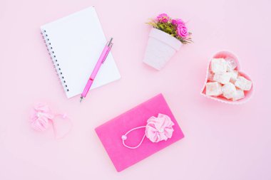 Düz lay girly, planlama için soluk pembe öğeler, not defterleri, kalemler, ofis çalışmaları ya da evde onun dizüstü bilgisayar üzerinde çalışan, soluk mavi arka plan, etiketler için yer ile. Konsept Masası.