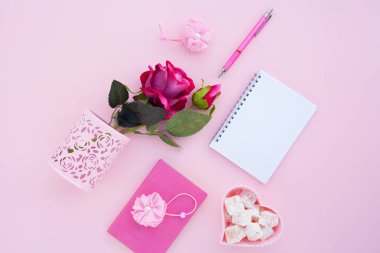 Düz lay girly, planlama için soluk pembe öğeler, not defterleri, kalemler, ofis çalışmaları ya da evde onun dizüstü bilgisayar üzerinde çalışan, soluk mavi arka plan, etiketler için yer ile. Konsept Masası.