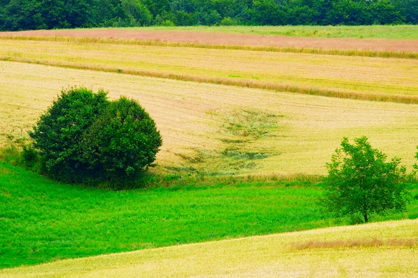 Picturesque rural landscape with cultivated fields in southern Poland.