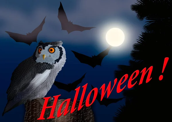 Halloween Card Illustration Owl Sitting Stump Bats Night — Stock Photo, Image