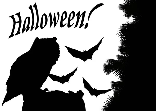 Karta Halloween Ilustrace Siluety Sova Sedící Pařez Netopýry Noci Bílou — Stock fotografie