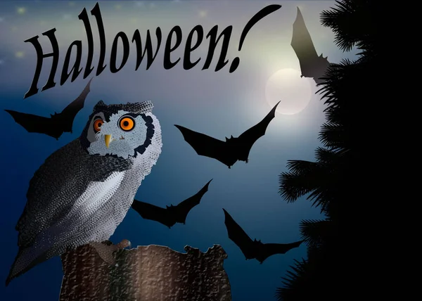 Halloween Card Illustration Owl Sitting Stump Bats Nigh — Stock Photo, Image