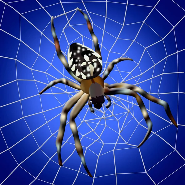 Spinnenweb Illustratie Van Spin Met Spinnenweb Blauwe Achtergrond — Stockfoto