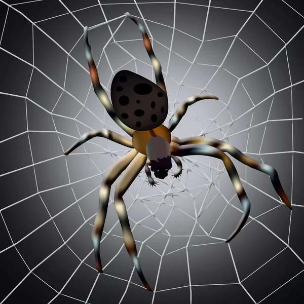 Spider web. Illustration of spider with spider web on dark background.