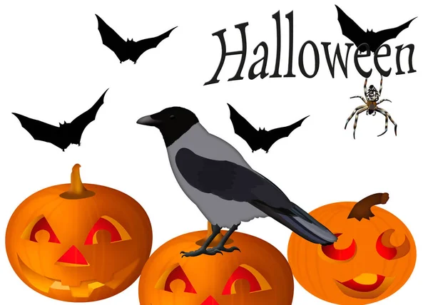 Halloween Card Illustration Crow Pumpkins Bats Spider White Background — Stock Photo, Image