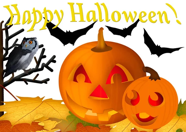 Halloween Card Illustration Pumpkins Autumn Leaves Owl Bats White Background — Stock Photo, Image