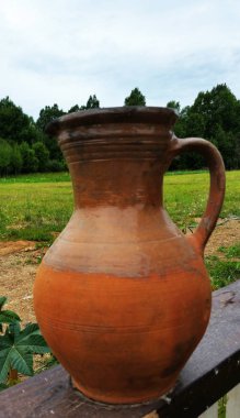 Saplı eski bir kil sürahi. Ormanda bir sürahi. Crock.