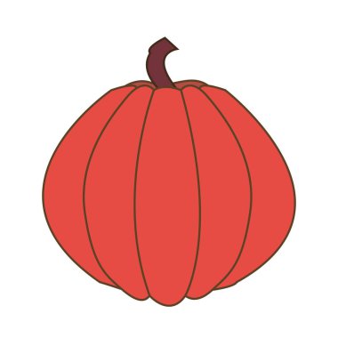 Balkabağı çizimi. Beyaz arkaplanda bir balkabağı