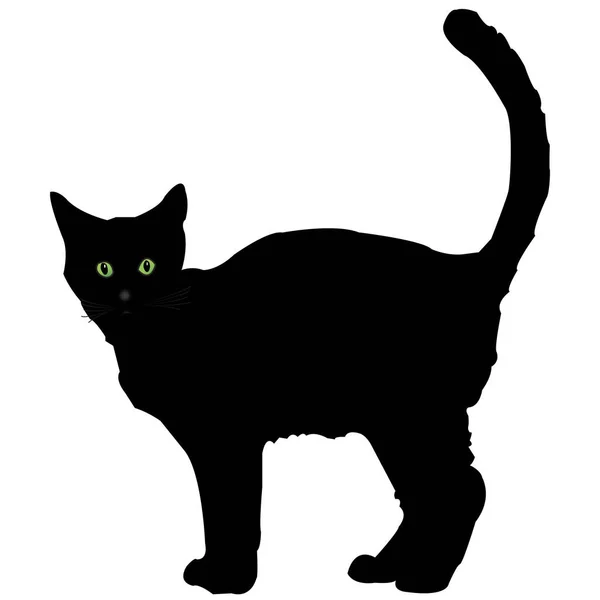 Απεικόνιση Μιας Μαύρης Γάτας Λευκό Φόντο Γάτα Στέκεται Όρθια Σιλουέτα — Φωτογραφία Αρχείου