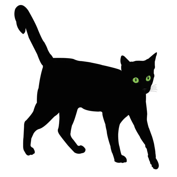 Ilustrace Černé Kočky Bílém Pozadí Ten Kocour Stojí — Stock fotografie