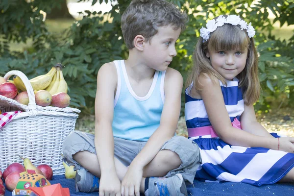 小可爱的男孩和女孩坐在毯子在草地上玩耍 在男孩和女孩附近有一个野餐篮与果汁和许多水果 小男孩和女孩的友谊 自然暑假 — 图库照片