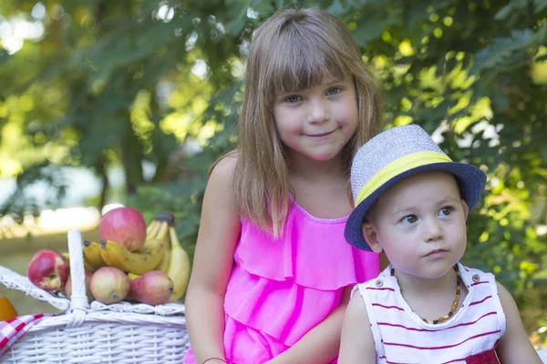 Aranyos Kisfiú Lány Fűben Egy Takarót Játszani Lány Átölelte Fiú — Stock Fotó