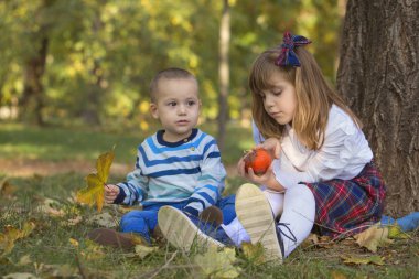 Küçük bir çocuk ve bir kız dışında oynuyorlar. Doğada güzel güneşli bir sonbahar gün hoşlarına gidiyor. Küçük kardeşi ve kız kardeşi birlikte vakit geçirmek seviyorum. Küçük kız küçük balkabağına elinde tutar.