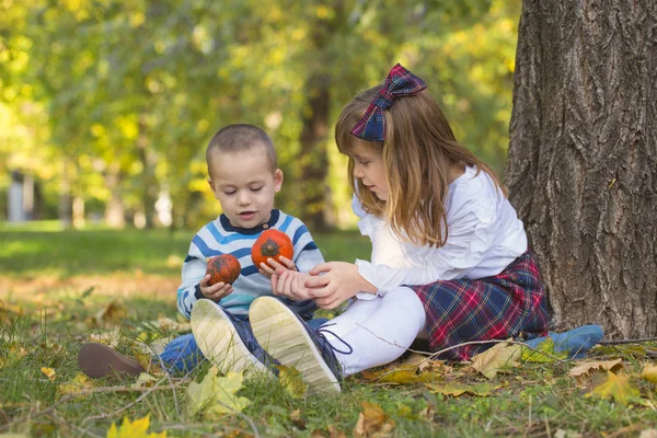 Küçük bir çocuk ve bir kız dışında oynuyorlar. Doğada güzel güneşli bir sonbahar gün hoşlarına gidiyor. Küçük kardeşi ve kız kardeşi birlikte vakit geçirmek seviyorum. Küçük oğlan küçük balkabağına elinde tutar.