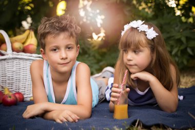  Küçük mutlu kız ve bir battaniye parkta yatan ve bir güzel güneşli yaz günde oynayan bir çocuk. Kız bir çocuğa aşık görünüyor. Erkek ve kız bir piknik sepeti meyve suyu ve meyve sürü var.