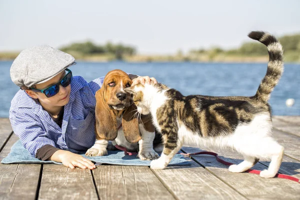 Küçük şirin çocuk onun köpek ve kedi ile nehrin yanında oturuyor. Birlikte güzel güneşli bir günde hoşlarına gidiyor. Çocuk onun köpek ve kedi sarılma. Ben büyürken, hayvanlar - köpek, boş zaman, seyahat, tatil için seviyorum. Kopya alanı