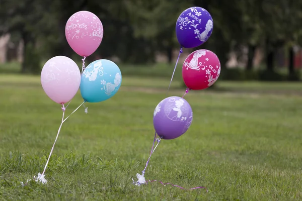 Ballons Dans Parc Foyer Sélectif Petite Profondeur Champ Fusée Éclairante — Photo