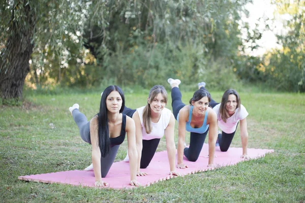 Girl Exercise Nature Selective Focus Small Depth Field Lens Flare — Stock Photo, Image