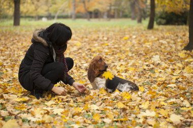 Park, seçici odak ve küçük derinlik-in tarla, bir köpek ile kadın lens flare