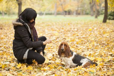 Park, seçici odak ve küçük derinlik-in tarla, bir köpek ile kadın lens flare
