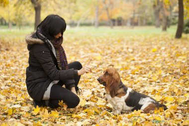 Park, seçici odak ve küçük derinlik-in tarla, bir köpek ile kadın lens flare