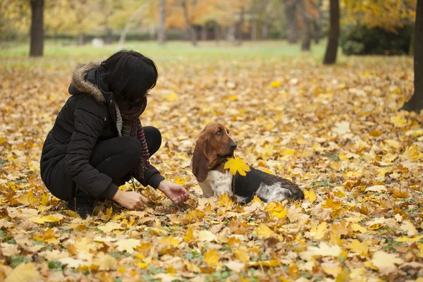 Park, seçici odak ve küçük derinlik-in tarla, bir köpek ile kadın lens flare