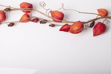 Çiçekler tabloya dekoratif bir zemin olarak