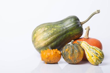 Kabak ve squash sonbahar arka masada