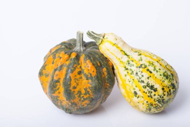 Kabak ve squash sonbahar arka masada