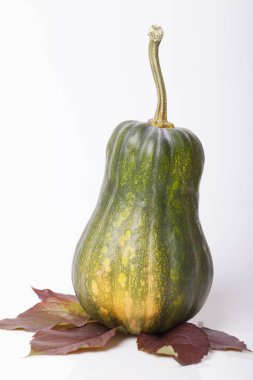 Kabak ve squash sonbahar arka masada