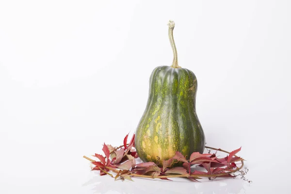 Herbst Hintergründe Für Kürbis Und Kürbis Auf Dem Tisch — Stockfoto