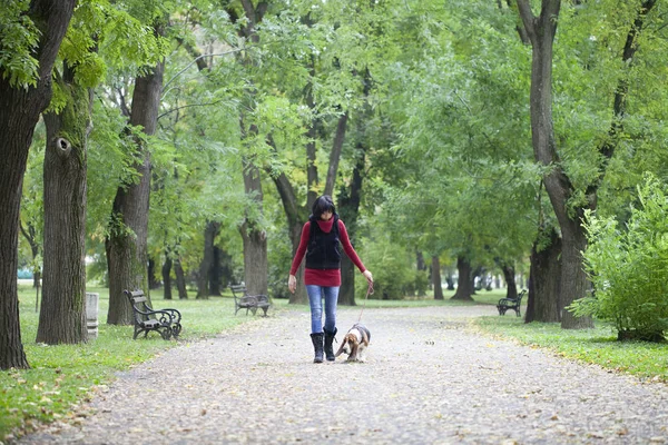 Junge Frau Die Mit Ihrem Hund Spazieren Geht Selektiver Fokus — Stockfoto