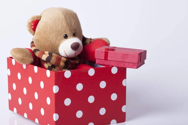 Bear Toy Giftsl Selective Focus Small Depth Field — Stock Photo, Image