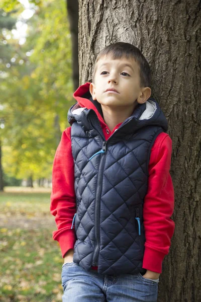 Menino Brincando Playground Foco Seletivo Pequena Profundidade Campo — Fotografia de Stock