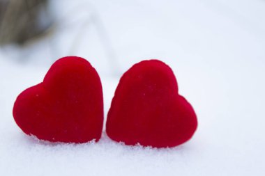 Doğa dekorasyonu Sevgililer günü için kalp